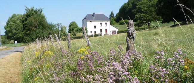Gestion raisonnée ou différenciée