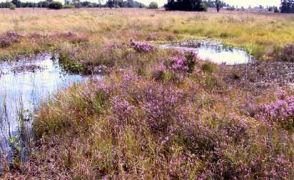 Photo de toubière au Grand Passage
