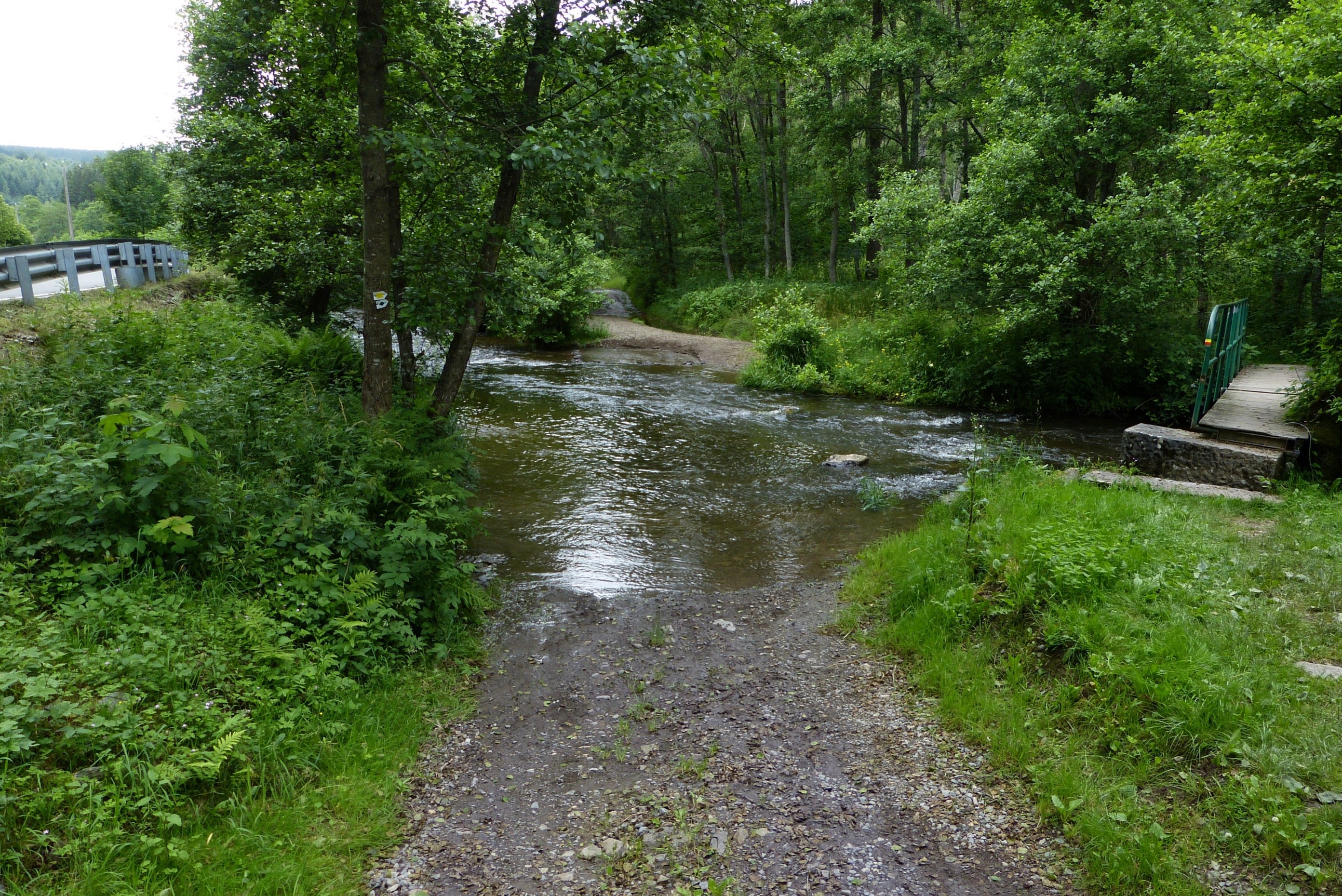 C1_Coupe_selective_resineux_isoles