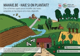 Guide interactif  haies