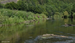 Habitat_3260_Cght_R.CORS_RCO_7736-001