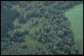 Dia 012 du PCD 1420 de Duchesnes Dia 012 du PCD 1420 de Duchesnes