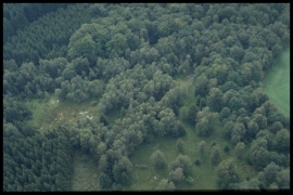 Dia 011 du PCD 1420 de Duchesnes Dia 011 du PCD 1420 de Duchesnes