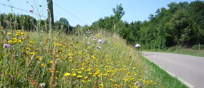 Historique de l'opération bords de routes