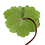 Hydrocotyle_ranunculoides_Ben_KIEFT_45x45