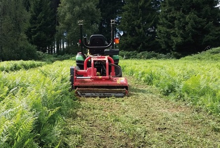 Image1