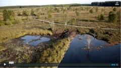 LIFE Haute-Fagnes - Vidéo - digues en argile