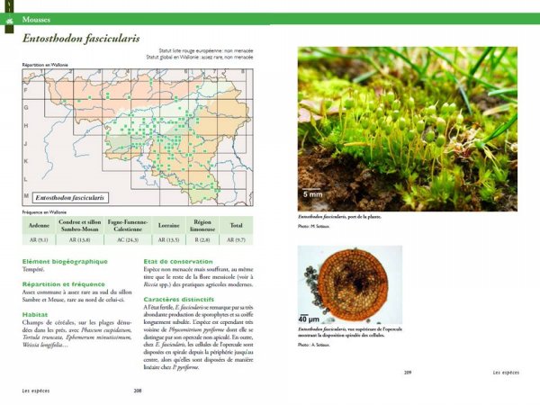 pagesinterieures_bryo