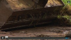 LIFE Haute-Fagnes - Vidéo - étrépage