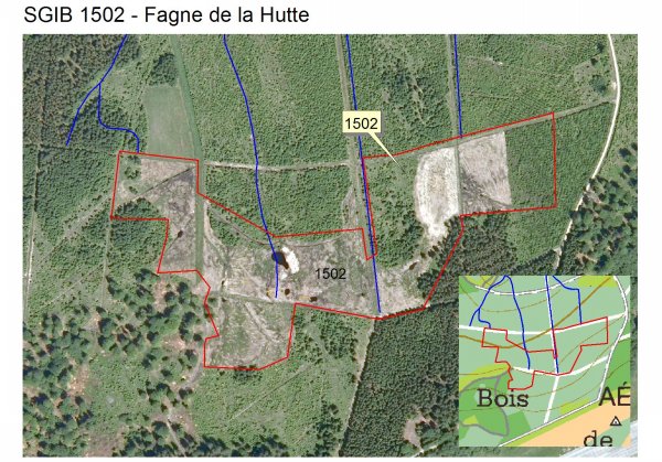 sgib 1502 - fagne de la hutte .jpg