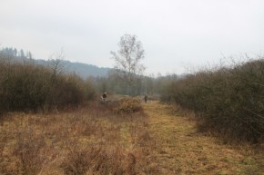 Débroussaillage Pré des Forges par bénévoles - 2011