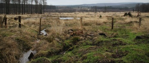 Clôtures pâturage, Troufferies sud (Libin), 2013, Pierre Clerx, LIFE-Lomme