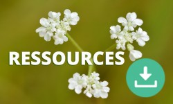 ressources