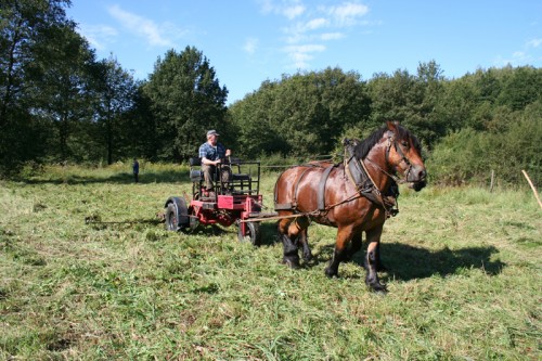 Fauche au Pré des Forges