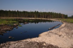 Plateau des Tailles Fagne de la Goutte
