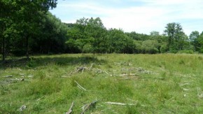 Photo de la RND du Pre des Forges 2010