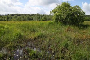 Photo RND Troufferies de Libin - 2010