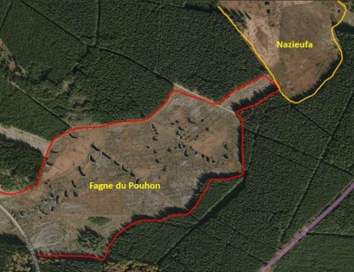 Fagne du pouhon apres les travaux du LIFE Plateau des Tailles