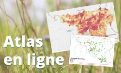 atlas en ligne