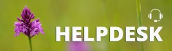 helpdesk