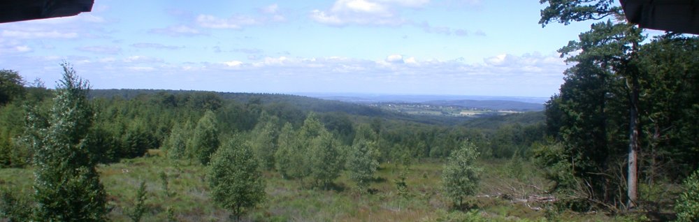 Vue de la Fagne des Huttes sur la Famenne