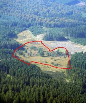 Vue aérienne SGIB Fange Tailsus - 2010