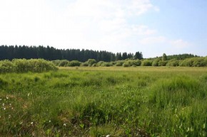 Photo RND Troufferies de Libin - 2010