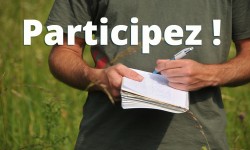 participez