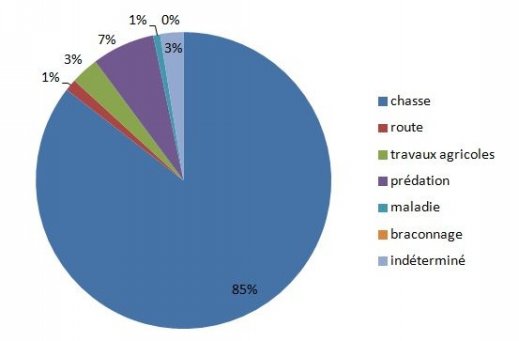 cause_mortalite_perdrix