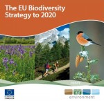 biodiversity_Strategy_2020