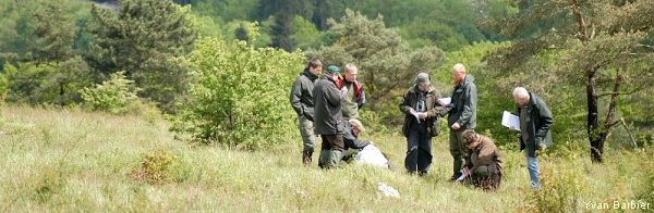 Sortie pelouses calcaires et escarpements