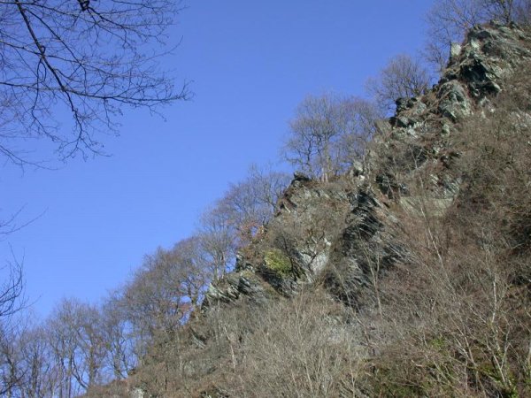 Bord de l'Ourthe