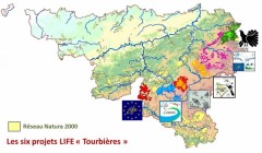 Visiter les sites du méta-projet tourbières