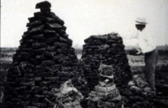 Exploitation d'une tourbière et séchage de briquettes de tourbe (Plateau des Tailles)