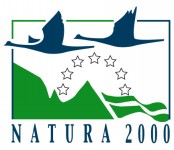 Nouveau document
