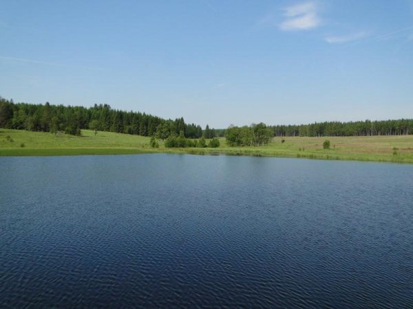 Etang de la Bergervenn