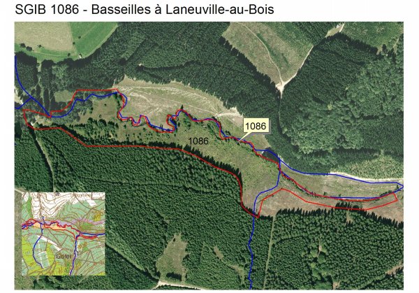 sgib 1086 - basseilles à laneuville-au-bois .jpg