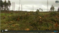 LIFE Haute-Fagnes - Vidéo - Coupe