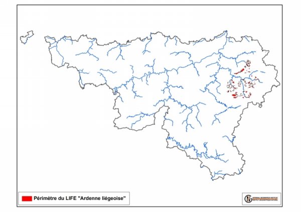 Nouveau document