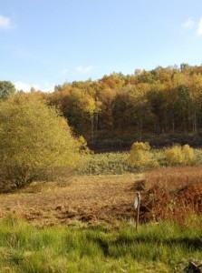 Croix-Scaille - Christin Xhardez - Pré de l'anglais fauché, 2008 10 17, Vallée de la Hulle