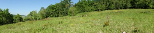 2010_06_Terrain_MD_0007.jpg