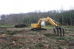 Plateau des Tailles nettoyage de coupes