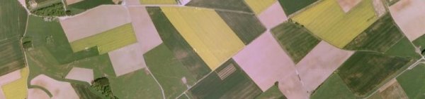 vue_aerienne_cultures