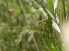 IMG_0898.jpg IMG_0898.jpg