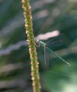 IMG_2049.jpg IMG_2049.jpg