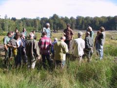 Visite de terrain dans le projet LIFE Saint-Hubert
