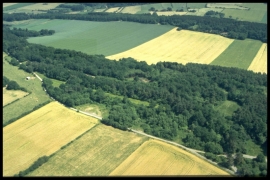 Dia 015 du PCD 1432 de Duchesnes Dia 015 du PCD 1432 de Duchesnes