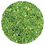 Lentille