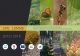 LIFE_LOMME_cover_Partie1