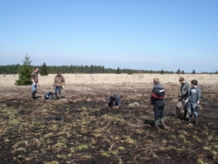 linaigrette (25).jpg